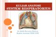 4-System Respiratorius dr.Indah.pdf