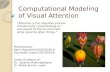 Computational Modeling of Visual Attention (1)