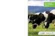 New Zealand Dairy Statistics 2014 15
