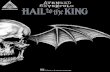 Avenged Sevenfold - Hail to the King (Digitabs)