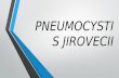 Pneumocystis Jirovecii