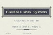 Flexible Work Systems