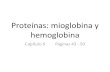Mioglobina hemoglobina