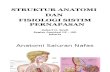 Struktur Anatomi Dan Fisiologi Sistim Pernapasan Oleh Dr. Robert