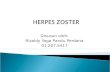 Herpes Zoster Aldy