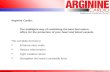 Arginine Blood Pressure