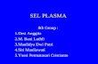 Plasma Cell - 8th Group of Hematology