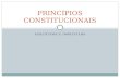 PRINCÃ-PIOS CONSTITUCIONAIS