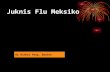 Juknis Flu Meksiko