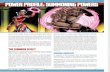 Mutants & Masterminds - Third Edition - Power Profile - Summoning Powers