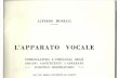 A.morelli l'Apparato Vocale (2)