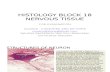 Histology Block 18 Nervous Tissue Rangkuman Atlas