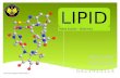 Lipid Biokimia