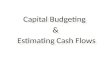capital budgetin up to terminal cash flow
