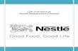 Nestle CSR Intern Report