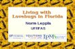 Living with Lovebugs in Florida Norm Leppla UF/IFAS.
