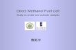 Direct Methanol Fuel Cell Study on anode and cathode catalysts 曹殿学.