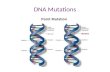 DNA Mutations. Mutations A mutation is a permanent change in DNA. Since DNA determines all aspects of an organism, even small changes can have big effects.