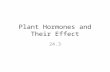 Plant Hormones and Their Effect 24.3. Hormones A hormone is a chemical signal that affects growth, activity or development in a living organism A plant.