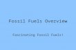 Fossil Fuels Overview Fascinating Fossil Fuels!. I. Fossil Fuels… A. Include coal, natural gas, tar sands, oil shale and petroleum. B.Formed over a period.
