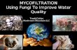 MYCOFILTRATION Using Fungi To Improve Water Quality Tradd Cotter Mushroom Mountain LLC.