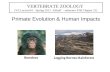 Primate Evolution & Human Impacts VERTEBRATE ZOOLOGY (VZ Lecture34 – Spring 2012 Althoff - reference PJH Chapter 21) Bill Horn Bonoboo Logging Borneo Rainforest.