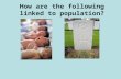 How are the following linked to population?. L.O. 1: To identify what affects birth and death rates How does population change?