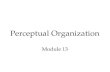 Perceptual Organization Module 13. Overview Perceptual Organization  Form Perception  Depth Perception  Perceptual Constancy.