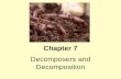 Chapter 7 Decomposers and Decomposition. Decomposition?