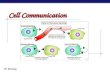 AP Biology Cell Communication. AP Biology Communication Methods  Cell-to-cell contact  Local signaling  Long distance signaling.