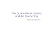 The Quark-Gluon Plasma and Jet Quenching Marco van Leeuwen.