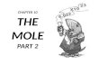 CHAPTER 10 THE MOLE PART 2. MOLE CACLULATIONS! CORRECTION: A mole of marbles WOULD NOT fit into a box!
