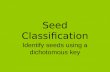 Seed Classification Identify seeds using a dichotomous key.