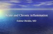 Acute and Chronic inflammation Fatima Obeidat, MD.