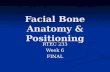 Facial Bone Anatomy & Positioning RTEC 233 Week 6 FINAL.