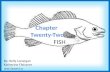 Chapter Twenty-Two FISH By: Kelly Lonergan Katherine Fleissner and Jason Lo.
