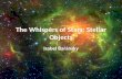 The Whispers of Stars: Stellar Objects Isabel Baransky.