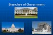 Branches of Government. President Commander in Chief Commander in Chief Specified in the ConstitutionSpecified in the Constitution Head of the military.