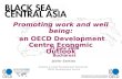1 Promoting work and well being: an OECD Development Centre Economic Outlook Javier Santiso Director & Chief Development Economist, OECD Development Centre.