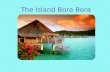 The Island Bora Bora. Things To Do In Bora Bora BLOODY MARY'S World-Famous Seafood Restaurant Experience an evening at the famous Bloody Mary's restaurant.