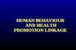HUMAN BEHAVIOUR AND HEALTH PROMOTION LINKAGE. PHASES BETWEEN KNOWLEDGE & BEHAVIOUR Source: Adapted from Fishbein & Ajzen 1975.)