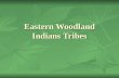 Eastern Woodland Indians Tribes. Location These tribes lived east of the Plains in the forest areas along the eastern part of the United States. They.