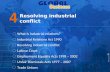 Resolving industrial conflict What is industrial relations? Industrial Relations Act 1990 Resolving industrial conflict Labour Court Employment Equality.