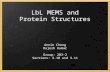 LbL MEMS and Protein Structures Annie Cheng Rajesh Kumar Group: 203-2 Sections: 3.10 and 3.11.