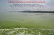 Managing eutrophication and harmful cyanobacterial blooms in shallow-water ecosystems experiencing human- and climatically-induced environmental change.
