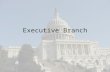 Executive Branch. Do Now We are a nation of laws, do we need them? Why or why not?