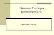 Human Embryo Development Extended Study. Learning Objectives List the sequence of development of an embryo Explain the term fertilized egg Explain the.