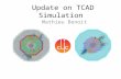Update on TCAD Simulation Mathieu Benoit. Introduction The Synopsis Sentaurus Simulation tool – Licenses at CERN – Integration in LXBatch vs Engineering.