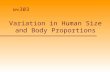 Variation in Human Size and Body Proportions BPK 303.