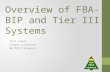 Overview of FBA-BIP and Tier III Systems Teri Lewis Oregon Director NW PBIS Network.